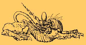 uroboros