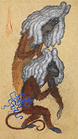 Kalmakoff